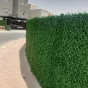1000068762