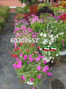 1000090375-1