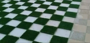 1000148491