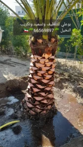1000172759