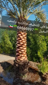 1000172762