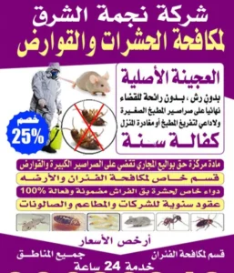 IMG-20241009-WA0007