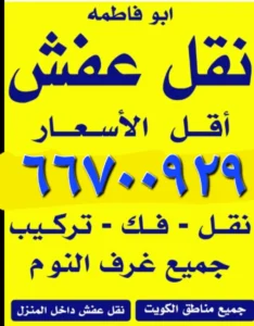 Screenshot_٢٠٢٥٠٧١١_١٥١٢٢٥_Chrome-3